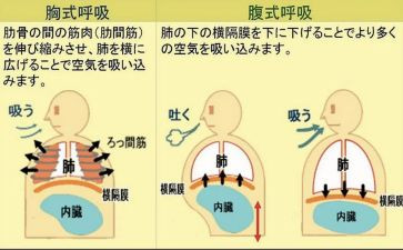 呼吸科医生述职报告6篇