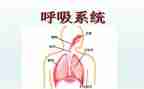 2022年呼吸科工作计划5篇