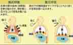 呼吸科医生述职报告6篇