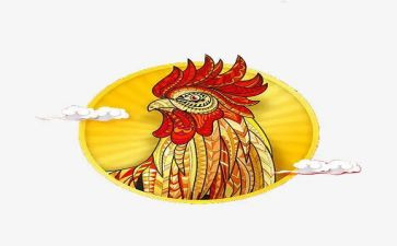 捉母鸡读后感7篇