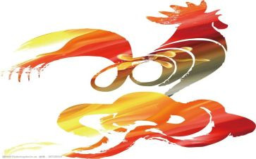 小飞鸡读后感推荐7篇