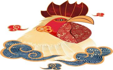 小鸡仔教案推荐7篇