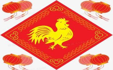鸡毛鸡读后感8篇