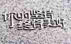 坚持为题作文800字7篇