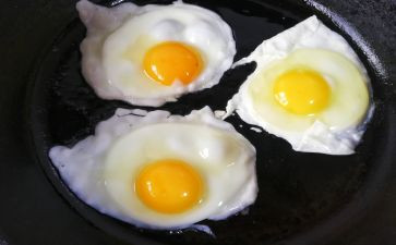 煎蛋的心得8篇