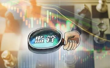 监管员述职报告精选8篇