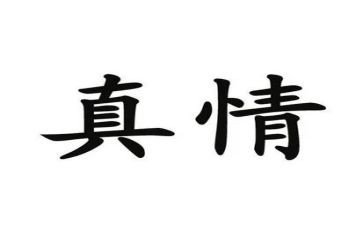 感受真情作文6篇