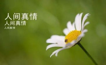 真情作文优秀作文6篇