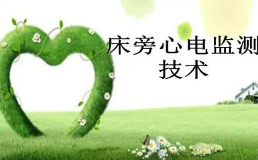监护士工作计划6篇