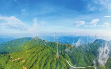师德建设年学习心得体会5篇