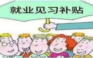 军训见习的心得7篇