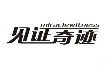 见证话题作文5篇