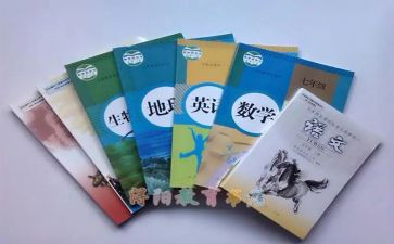小学教科室学年工作计划7篇