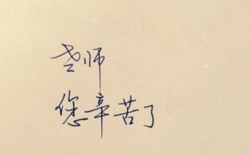 新分教师工作总结范文精选8篇