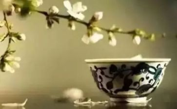 淡教养读后感8篇