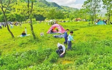 幼儿园大班去郊游教案5篇