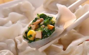 煮饺子作文300字作文6篇
