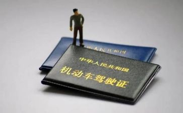 拿驾照心得体会通用6篇