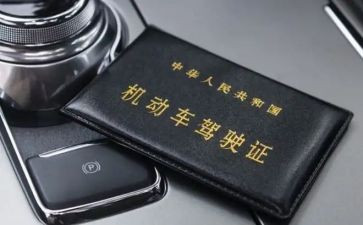 考驾照前个人心得体会8篇