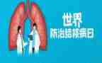 2024年结核病半年工作总结5篇