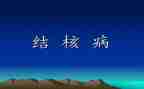 2024年结核活动总结7篇