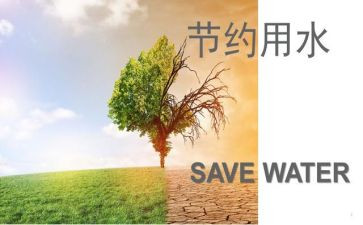 节约电的作文通用7篇