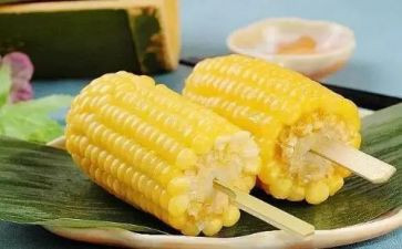 玉米种购销合同6篇