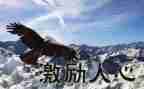 高考激励演讲稿优秀7篇