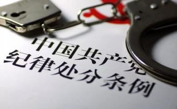 纪律部年度总结6篇