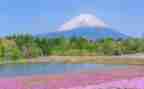 秋天写景作文400字6篇