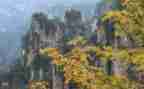 写景300字优秀作文5篇