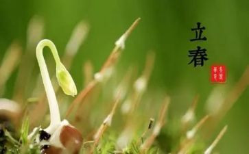 节气作文精选6篇