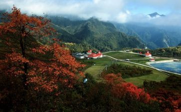 景区旅游股年终总结6篇