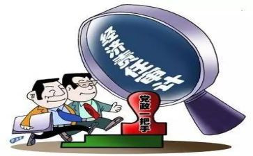 经责审计工作总结6篇