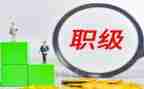 晋升高级教师的述职报告7篇