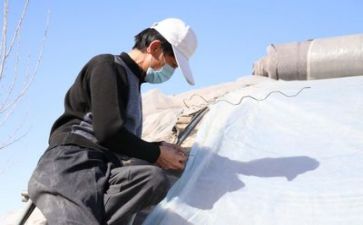 技术年度工作计划优质5篇
