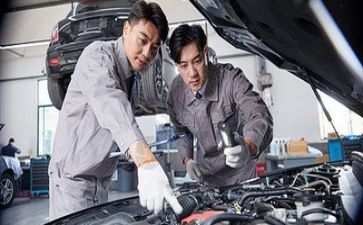 学技术培训心得体会最新5篇