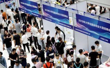 大学生就业情况的调查报告7篇