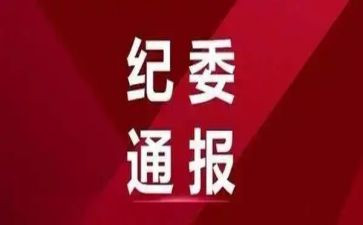 2023半年度纪委工作报告5篇