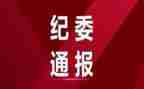 2023半年度纪委工作报告5篇