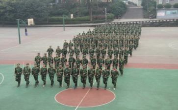 训后感有关军训的作文5篇