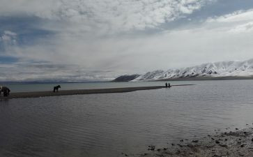 “看见”作文模板5篇