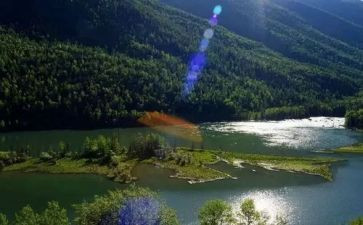 看见作文600字作文精选5篇