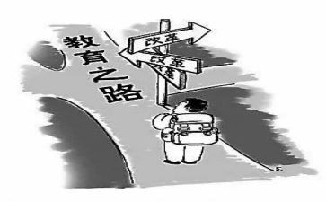 2023年新课改的心得体会6篇