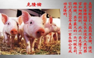 克隆作文400字6篇
