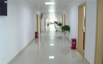 小学教科室的工作计划2022精选7篇