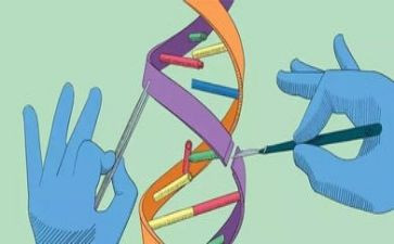 蒙氏科学培训心得体会最新5篇