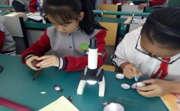 科学课工作总结优秀8篇