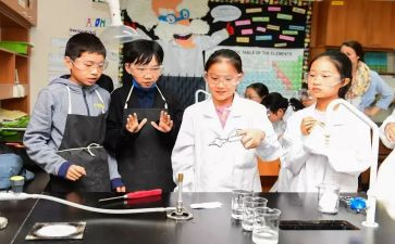 科学课学期工作总结5篇