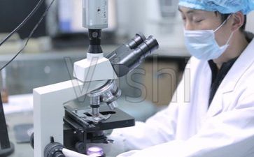 科研的心得优质6篇